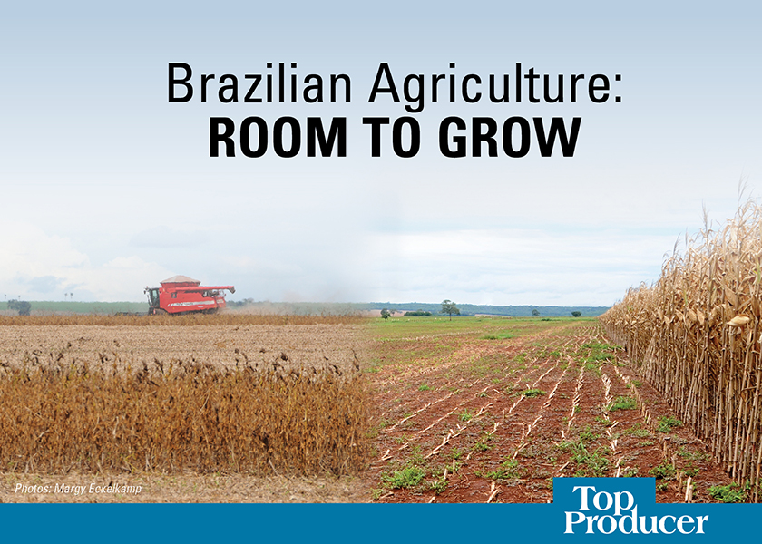 development of agriculture in brazil essay